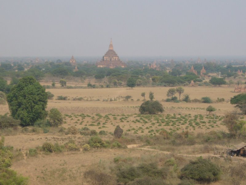 Bagan. Temple world.